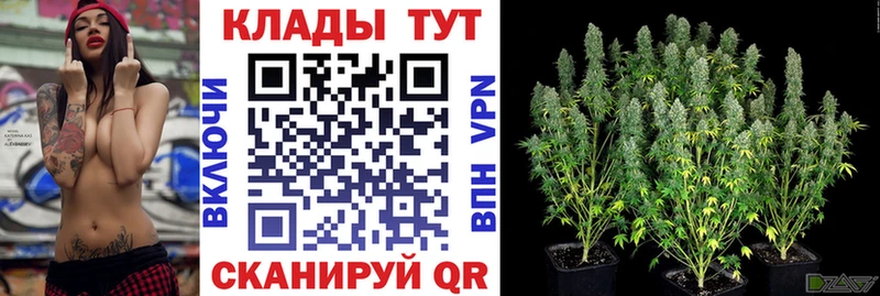 Где купить наркотики Олёкминск Конопля  COCAIN  СОЛЬ  Гашиш 